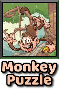 Educational Activities